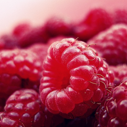 This Awful Condition Might Be Prevented By Eating A Compound Found In Fruits