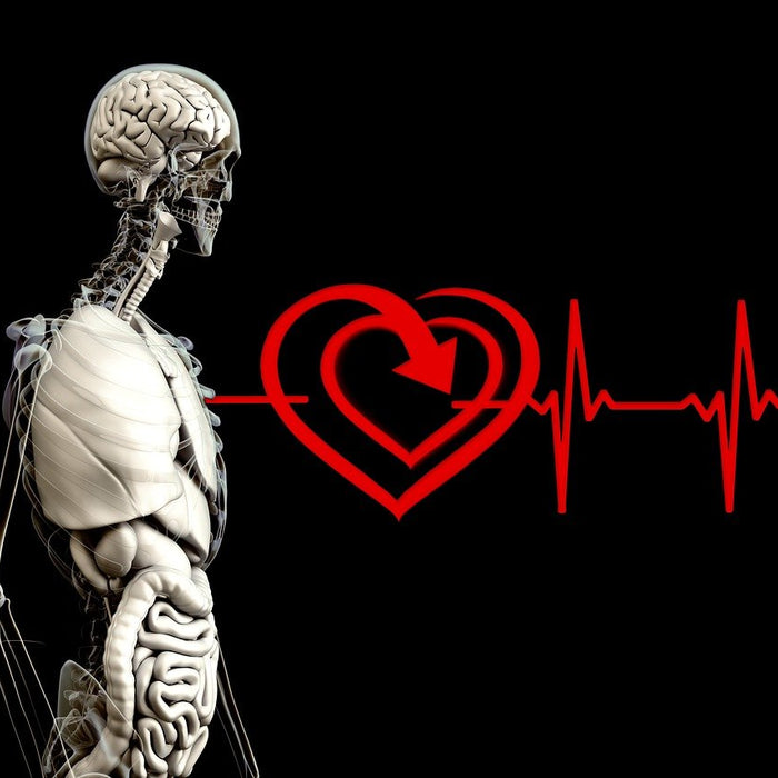 Why a D3 + K-2 Supplement Could Be Critical For You