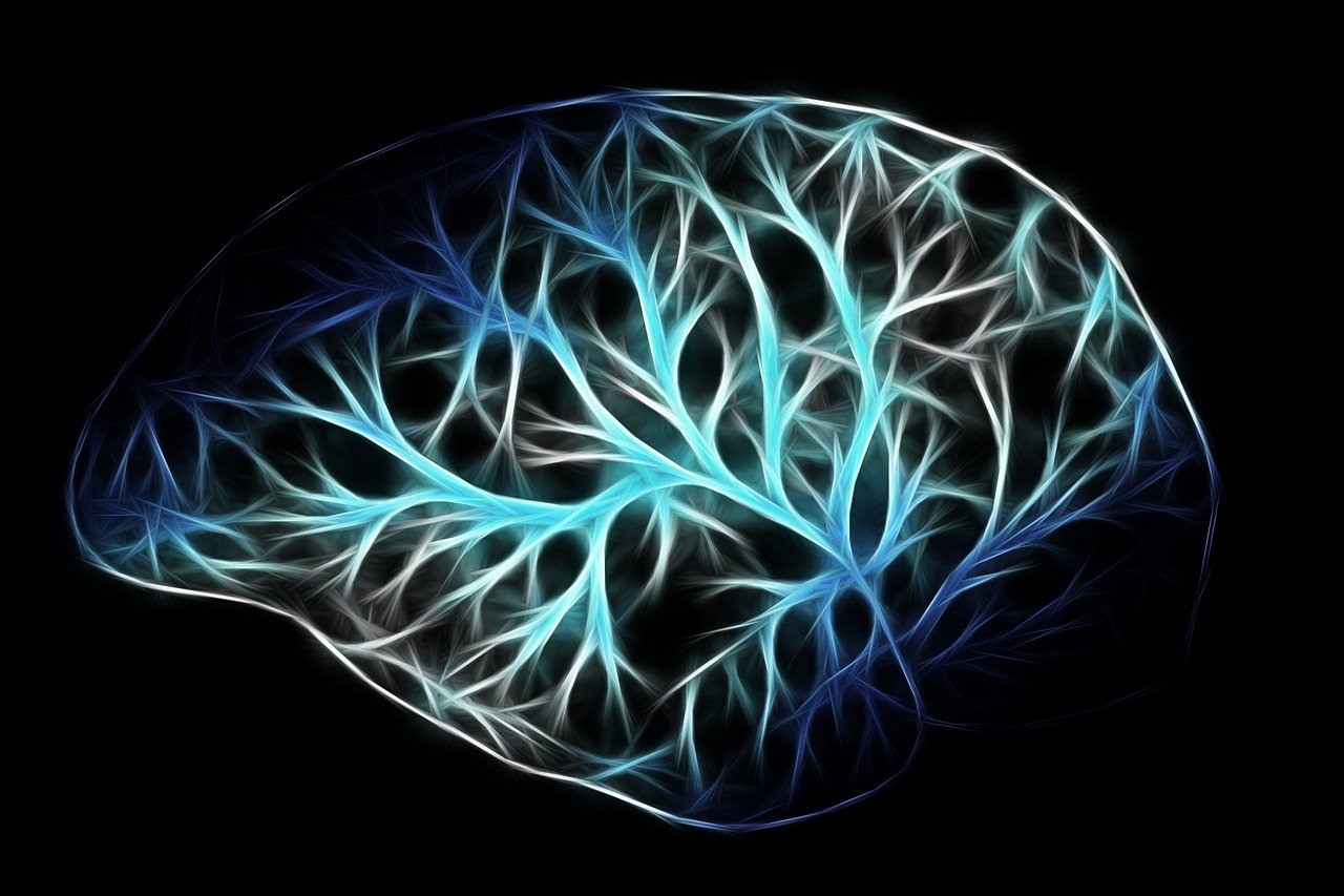 An Odd Connection Between Brain Health and Your Bottom (butt)