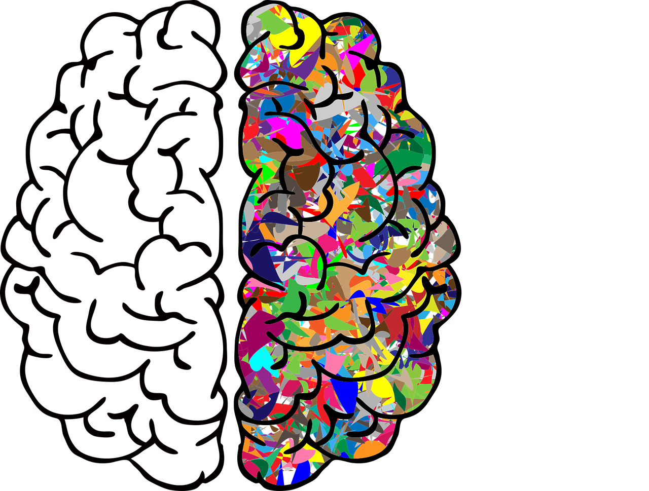 Our Best Brain Supplement