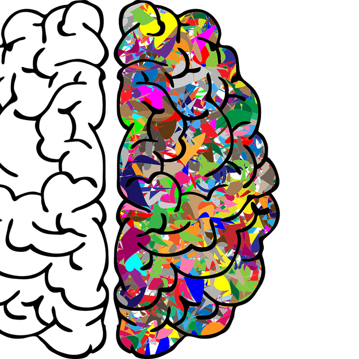 Our Best Brain Supplement