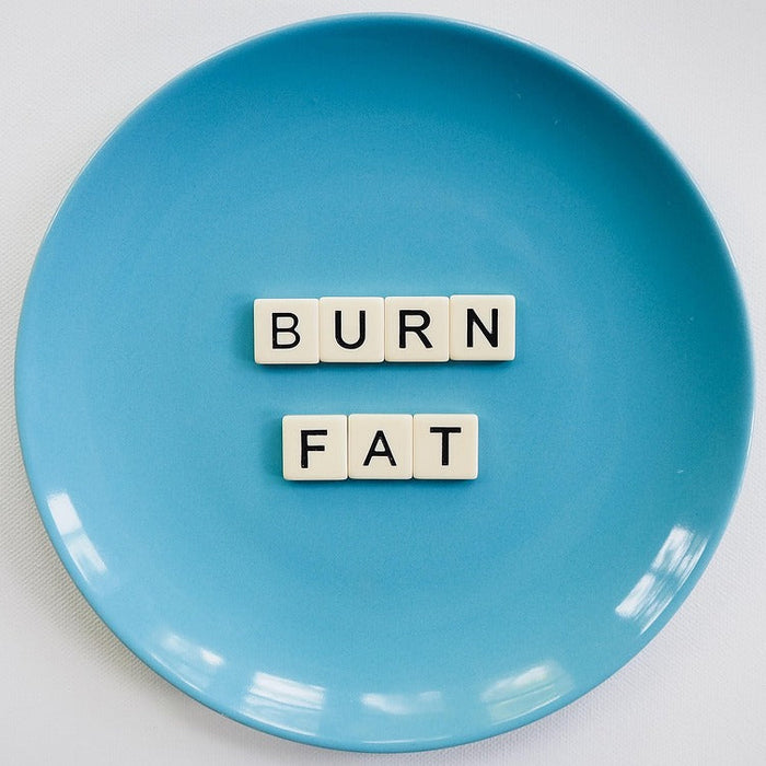 How Cysteine Consumption Helps Burn AND Store Fat