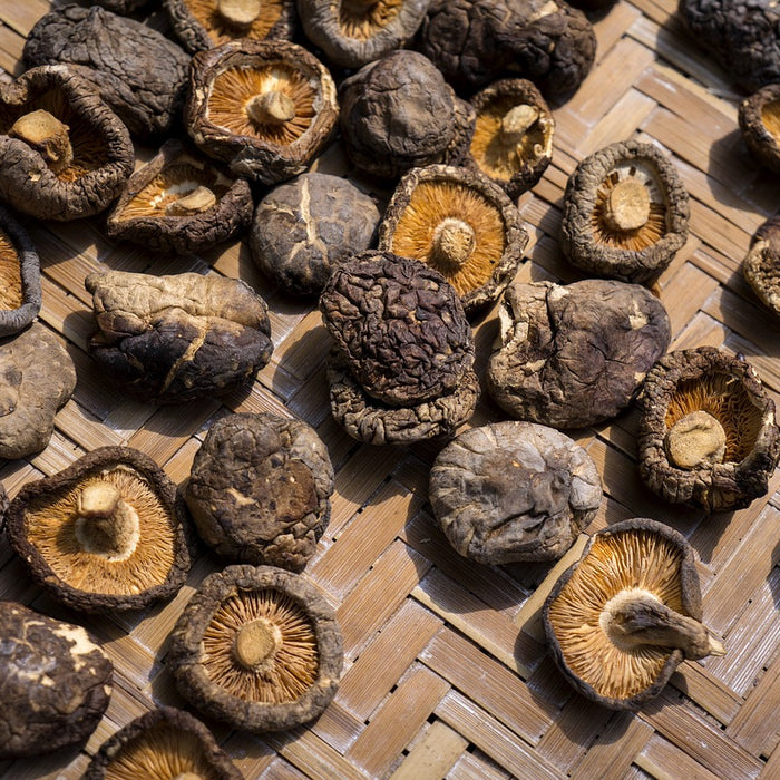 The Health Benefits Of 5 Common Mushrooms