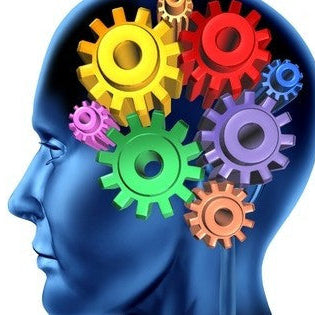 Encouraging News Shows How Training Your Brain Can Extend Your Life