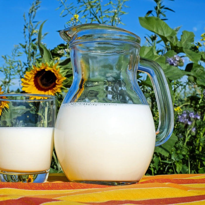 Should You Eat Grass-Fed Dairy - Or Pass?