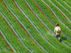Glyphosate, Cancer Risk, and What Patients Can Actually Do