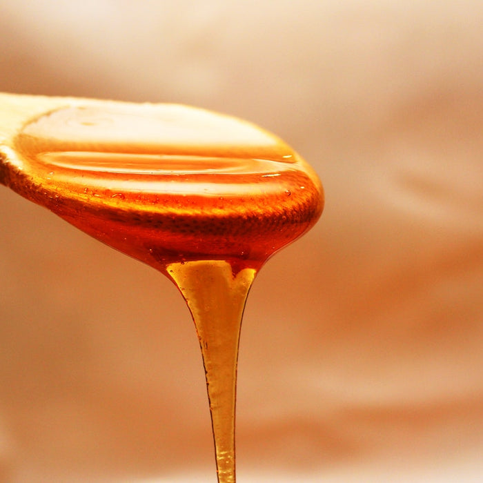 The Best Honey (No really, it’s amazing)