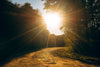 How Sunlight Levels Might Affect Dementia Risk