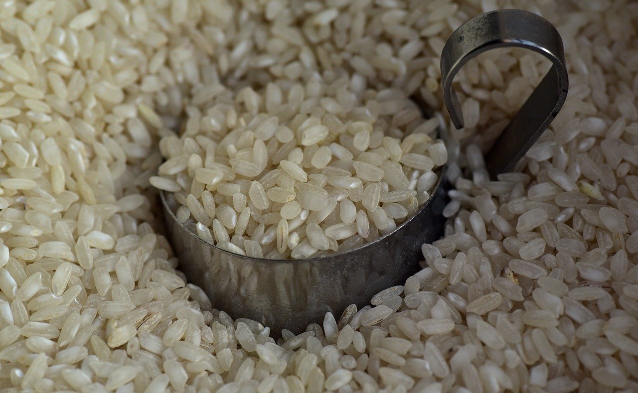 What’s the Deal with Rice?