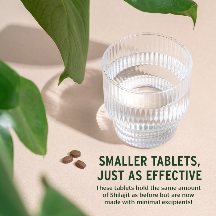 Banyan Botanicals Shilajit - 90 Tablets - Health As It Ought to Be