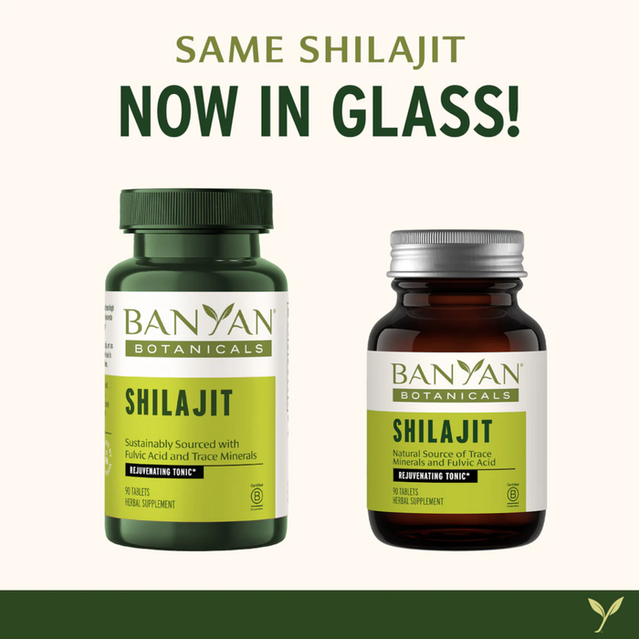 Banyan Botanicals Shilajit - 90 Tablets - Health As It Ought to Be