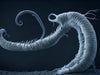Is a Parasite Cleanse In Your Future?