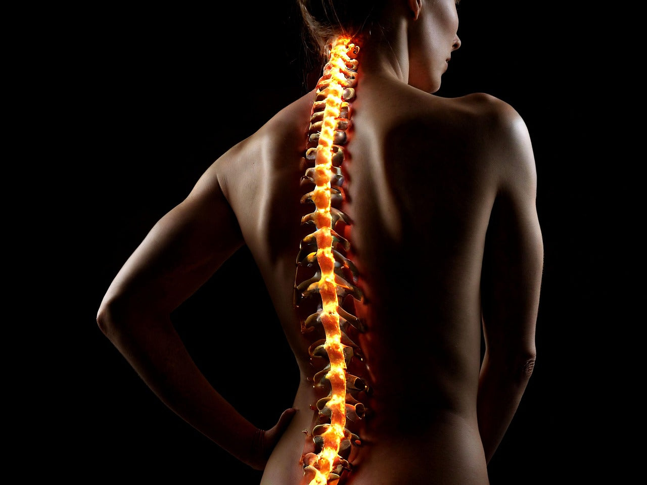 Could Fat-Derived Stem Cells Help Heal Spinal Fractures?