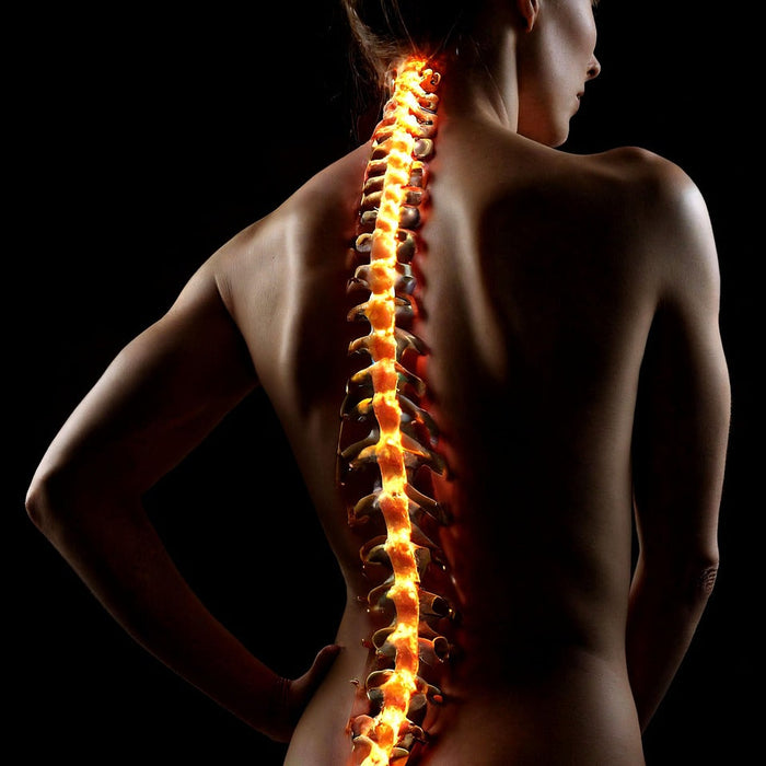 Could Fat-Derived Stem Cells Help Heal Spinal Fractures?