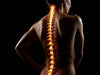 Could Fat-Derived Stem Cells Help Heal Spinal Fractures?