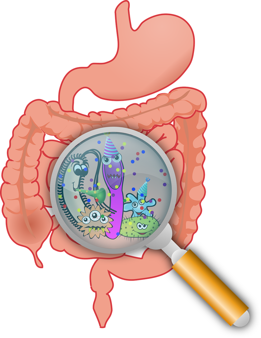 Are Bowel Diseases Like Crohn’s Only Treatable with Medicine?