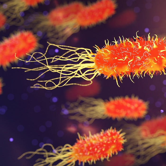 Good News for Anyone Worried About Antibiotic-Resistant Super-Bugs