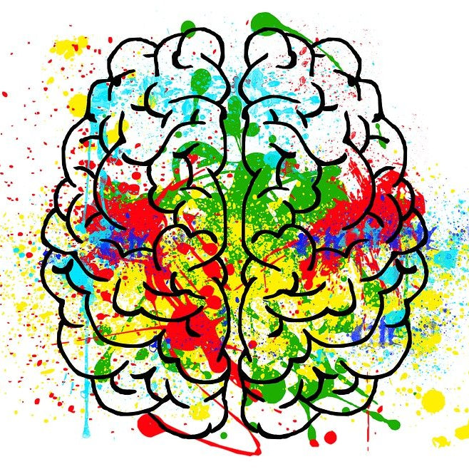 Your Brain On NOT Drugs