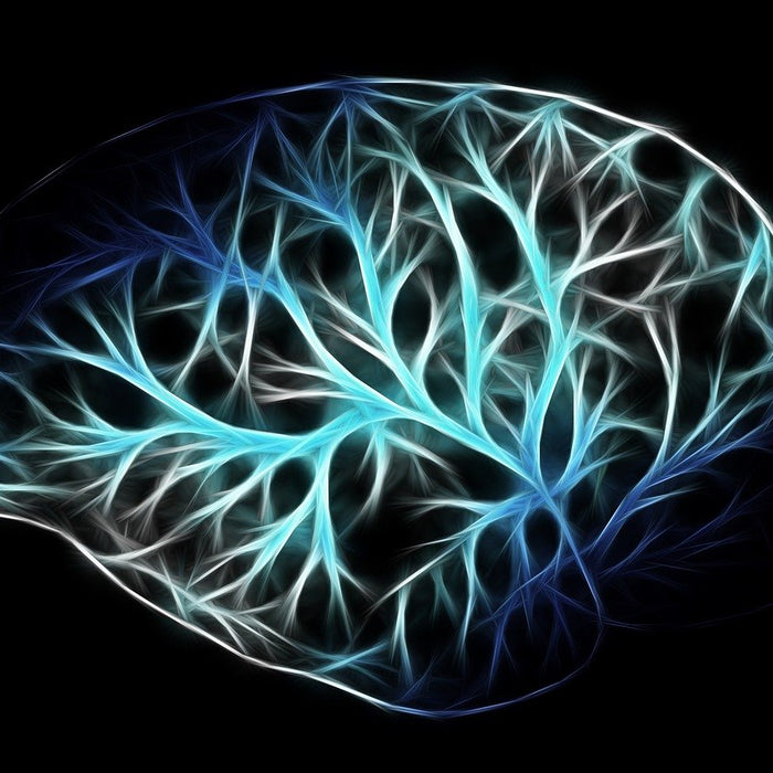 An Odd Connection Between Brain Health and Your Bottom (butt)