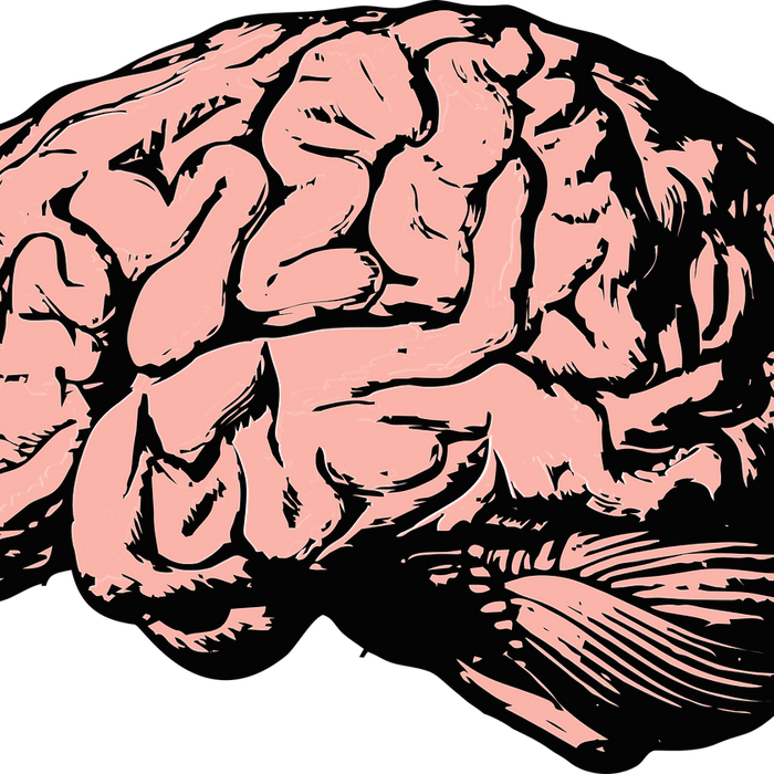 Magnesium Is Essential For Children’s Brain Health