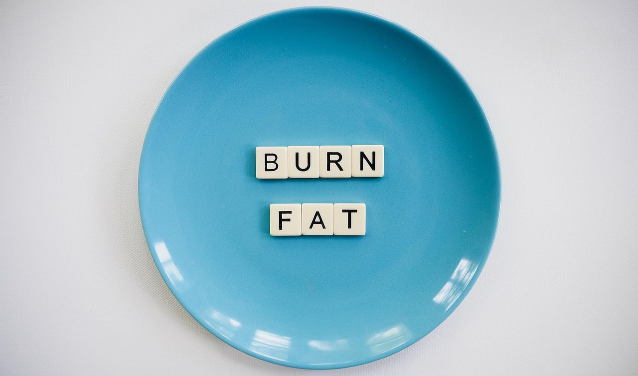How Cysteine Consumption Helps Burn AND Store Fat