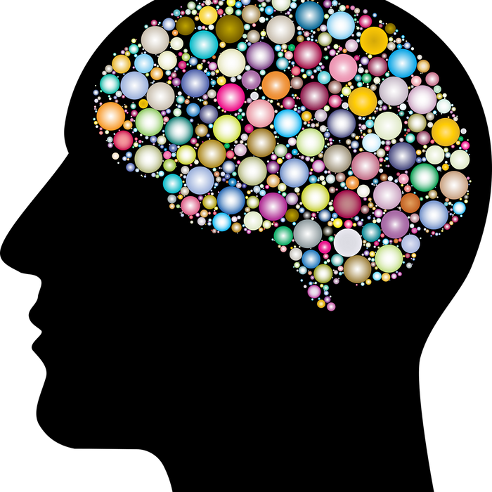 Why Berberine Is 1 Of The Best Supplements For Your Brain