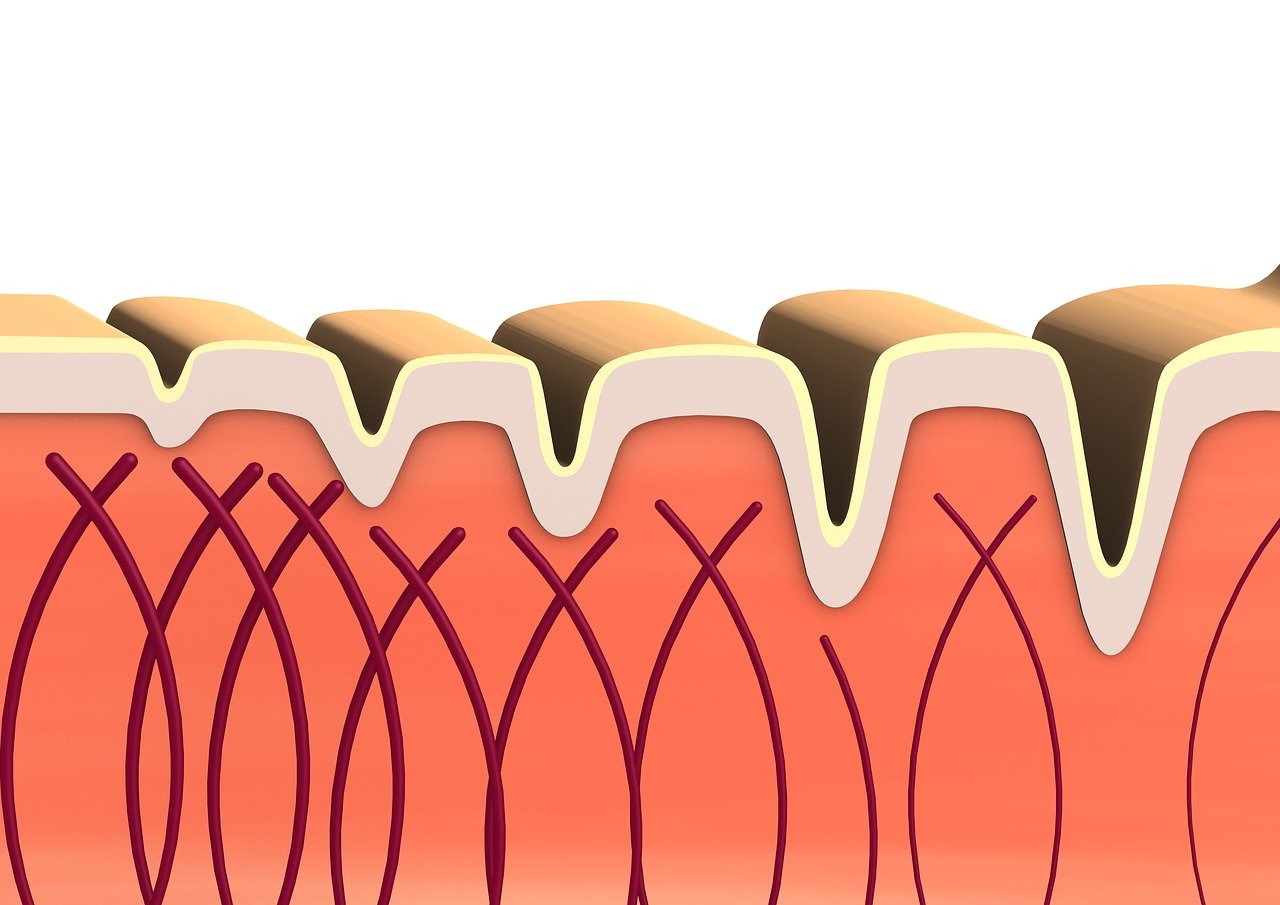 All about Collagen