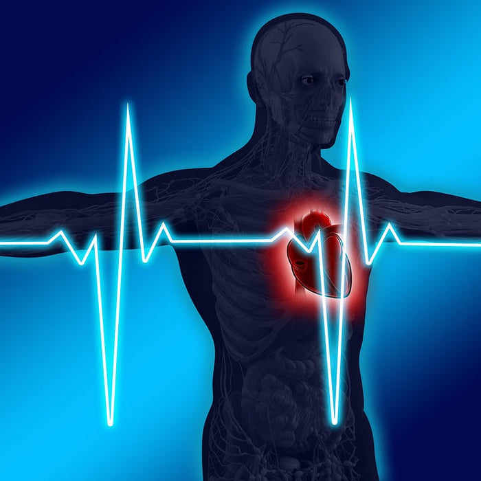 How Food Preservatives Might Be Harming Our Hearts