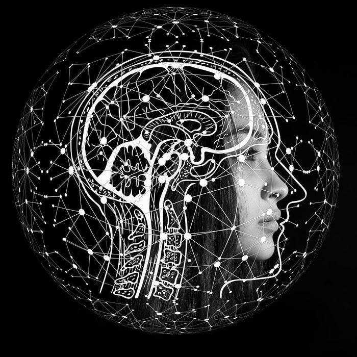 How Alpha-GPC Might Improve Memory, Focus, and Exercise Performance