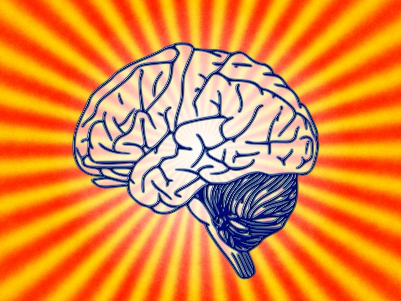 Does This Part of the Brain Control Healthy Aging?