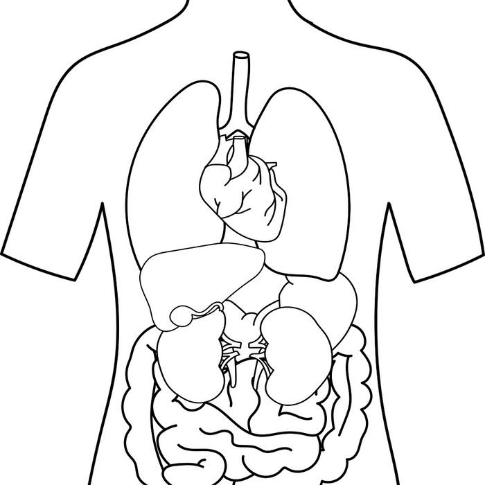 Could the Treatment For the Cold Live In Your Stomach?