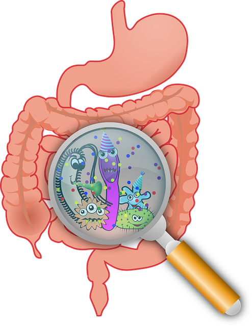 How Gut Bacteria Could Induce Anxiety?