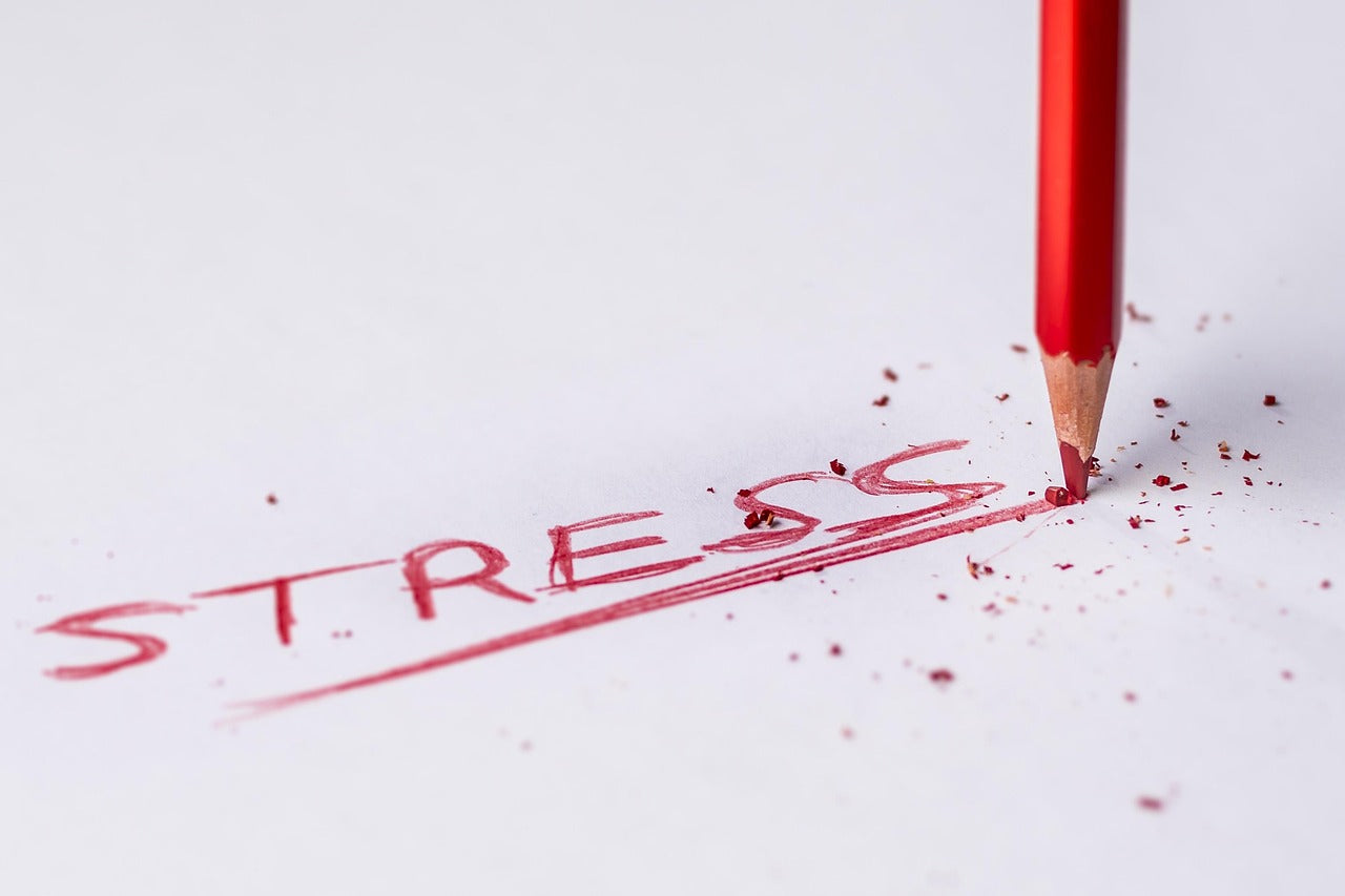 How Stress Could Get You Lost