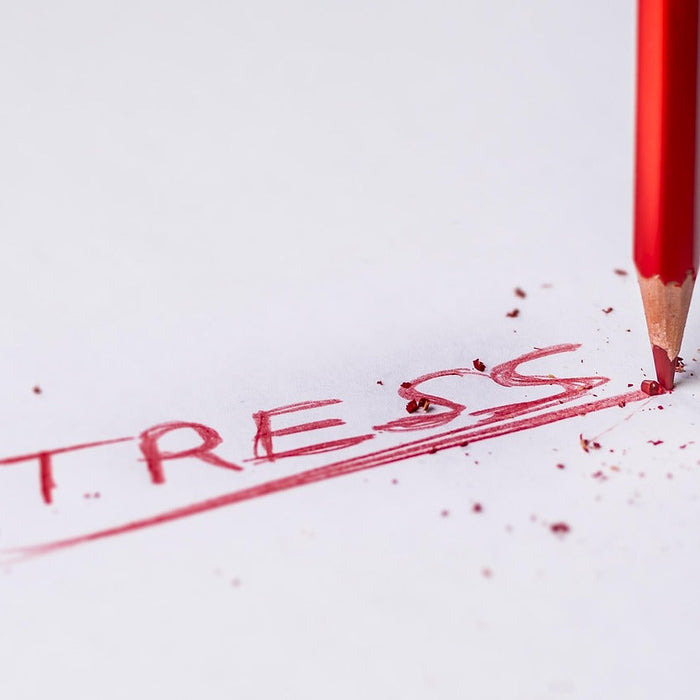 How Stress Could Get You Lost