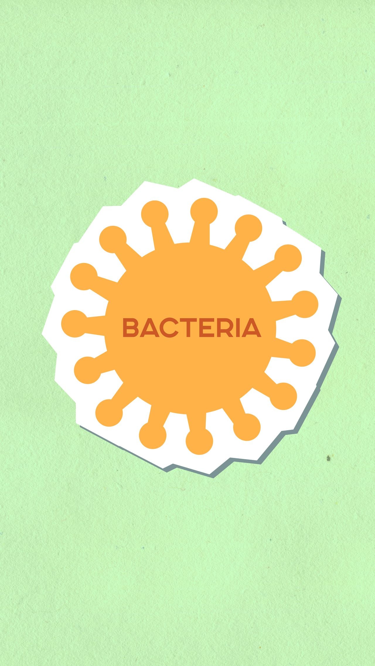 This Dangerous Gut Bacteria Isn’t Being Killed by Antibiotics