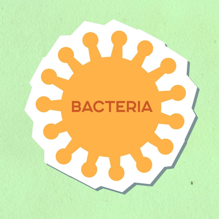 This Dangerous Gut Bacteria Isn’t Being Killed by Antibiotics