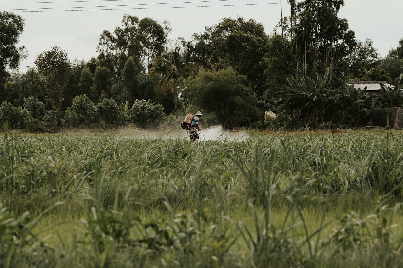 The Dirty Dozen: Pesticides and Your Food