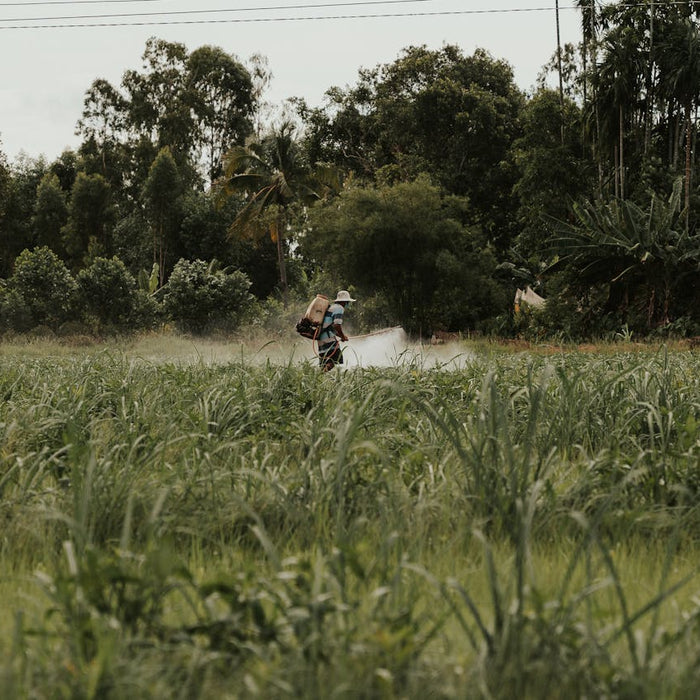 The Dirty Dozen: Pesticides and Your Food