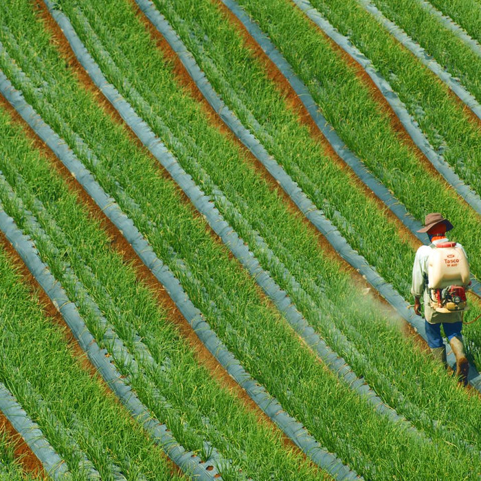 Glyphosate, Cancer Risk, and What Patients Can Actually Do