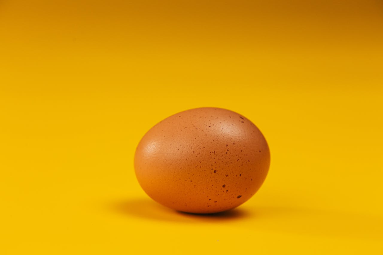 What 1 Egg a Day Could Do To Your Brain