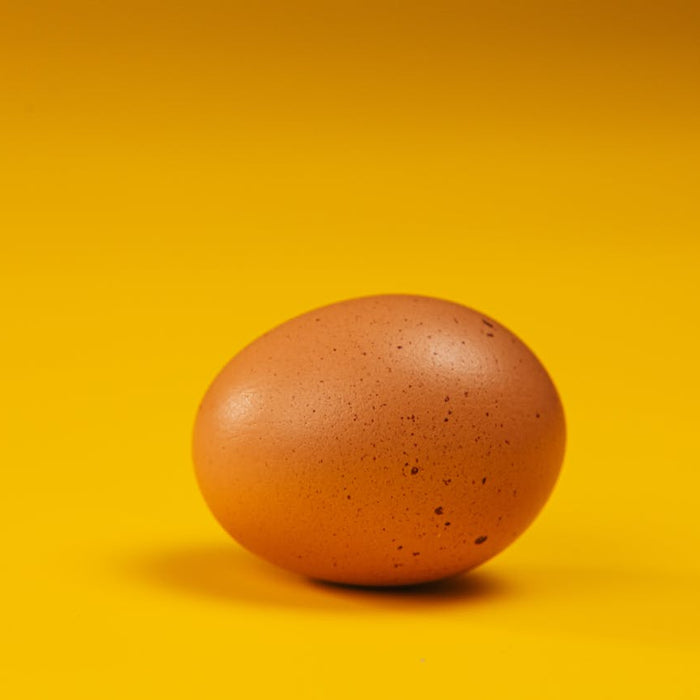 What 1 Egg a Day Could Do To Your Brain