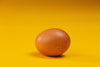 What 1 Egg a Day Could Do To Your Brain