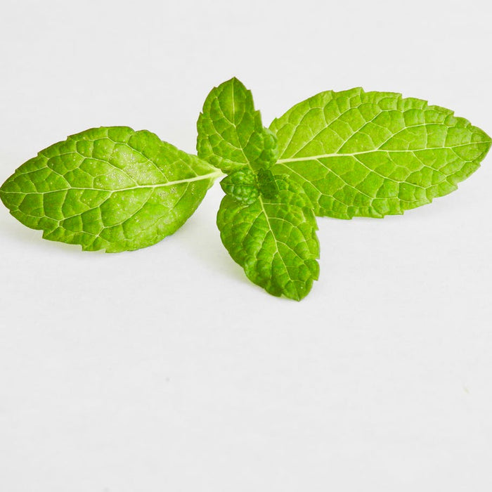 Could Peppermint Oil Help Lower Blood Pressure?