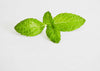 Could Peppermint Oil Help Lower Blood Pressure?