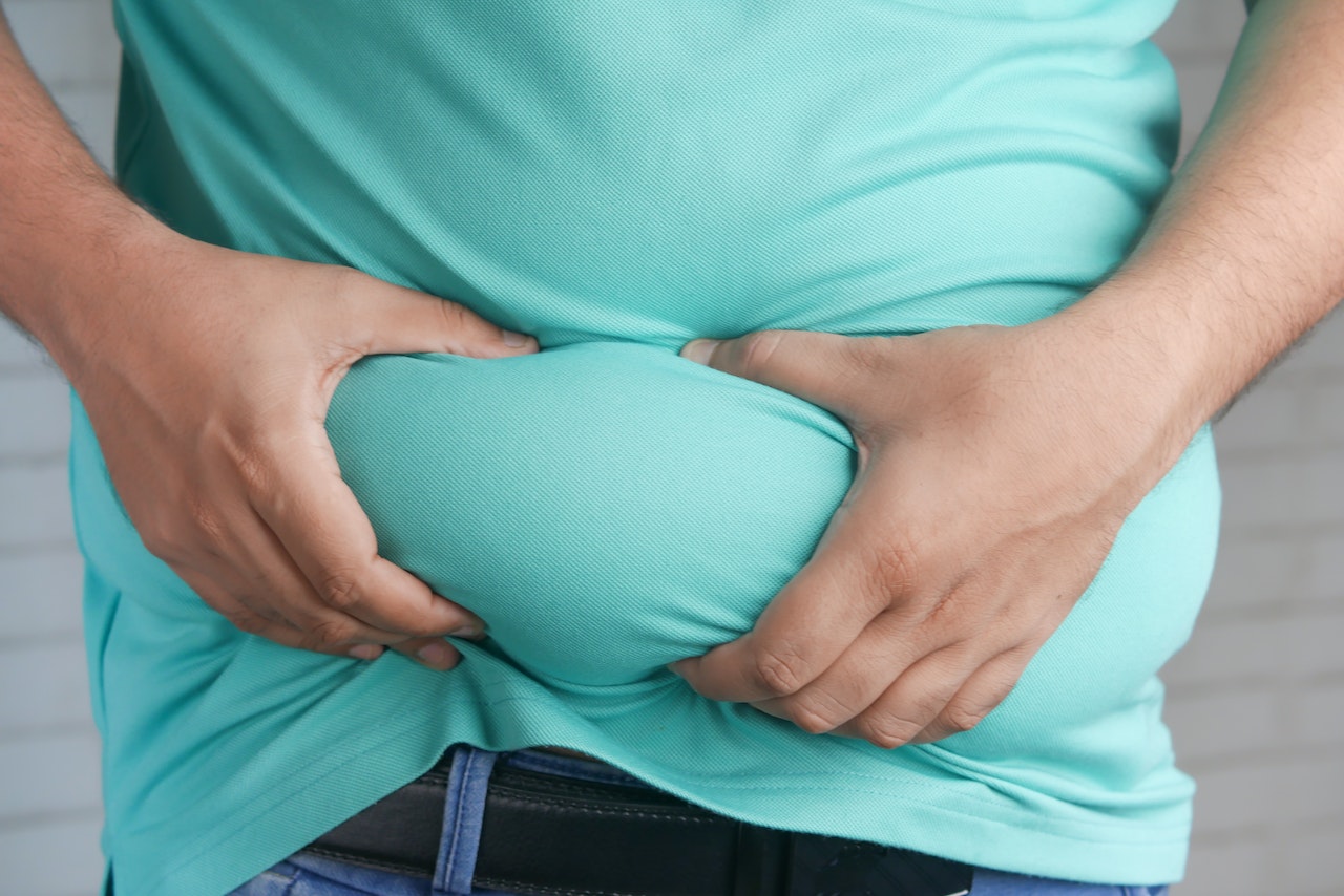 Fat and Cholesterol Articles Access