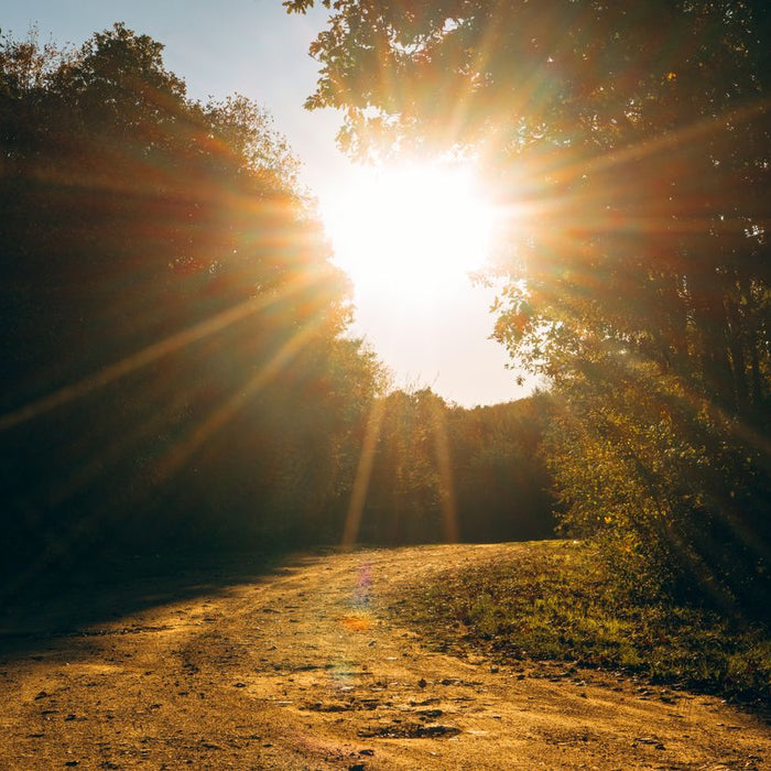 How Sunlight Levels Might Affect Dementia Risk