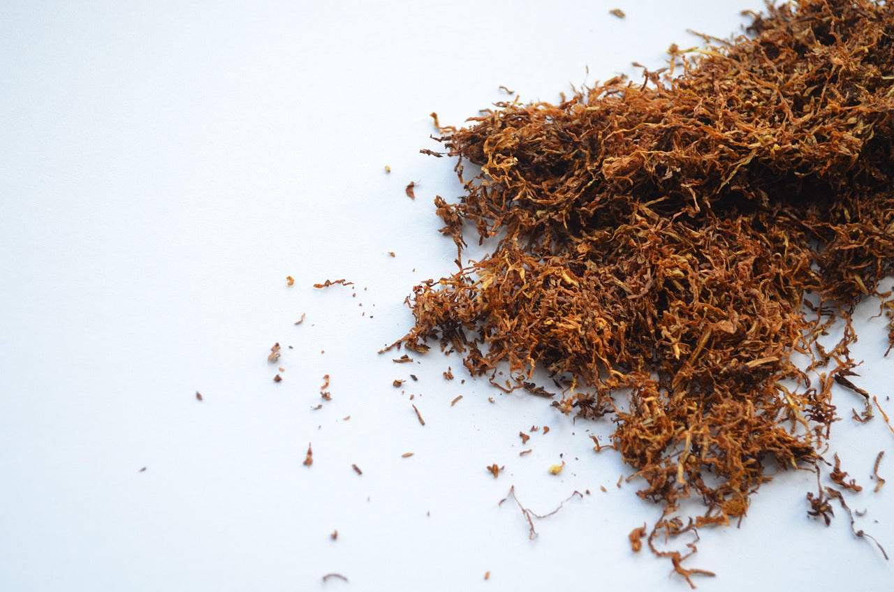 Nicotine-Free Nootropic Pouches: Focus Without the Nicotine Tradeoff