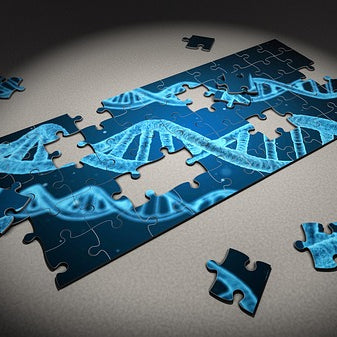 Some Diets Might Not Work Because Of Genetics
