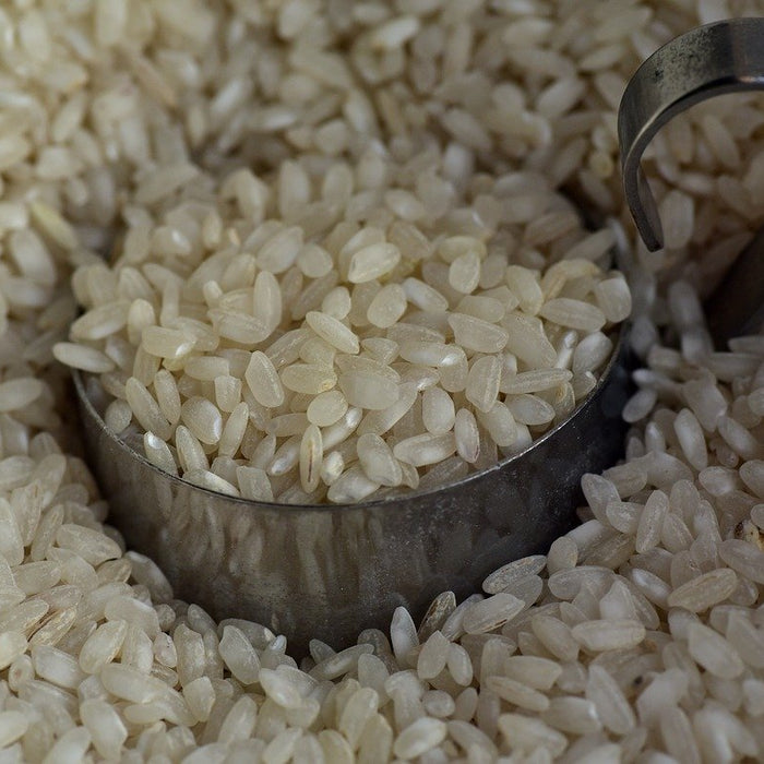 What’s the Deal with Rice?