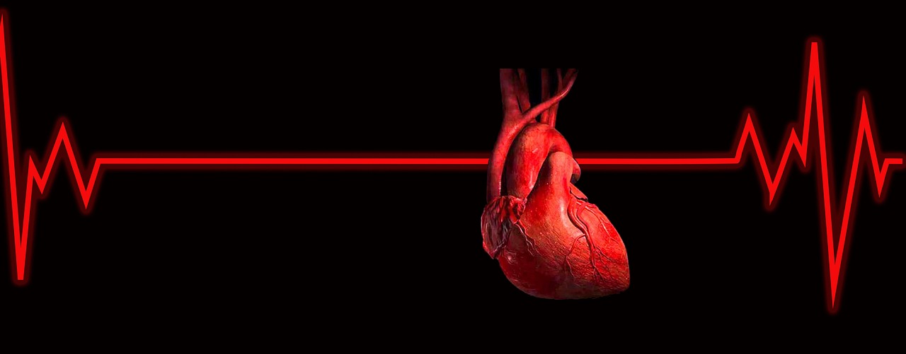 Why Being “Skinny” Doesn’t Mean a Heart Attack Won’t Kill You